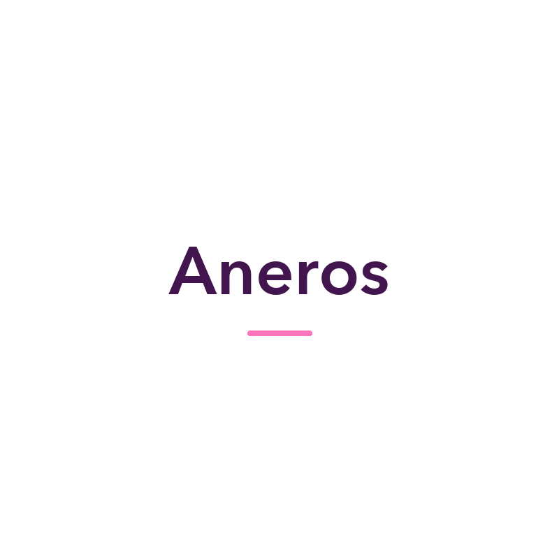 Aneros sex toys and adult products, available in New Zealand at Naughty Hut
