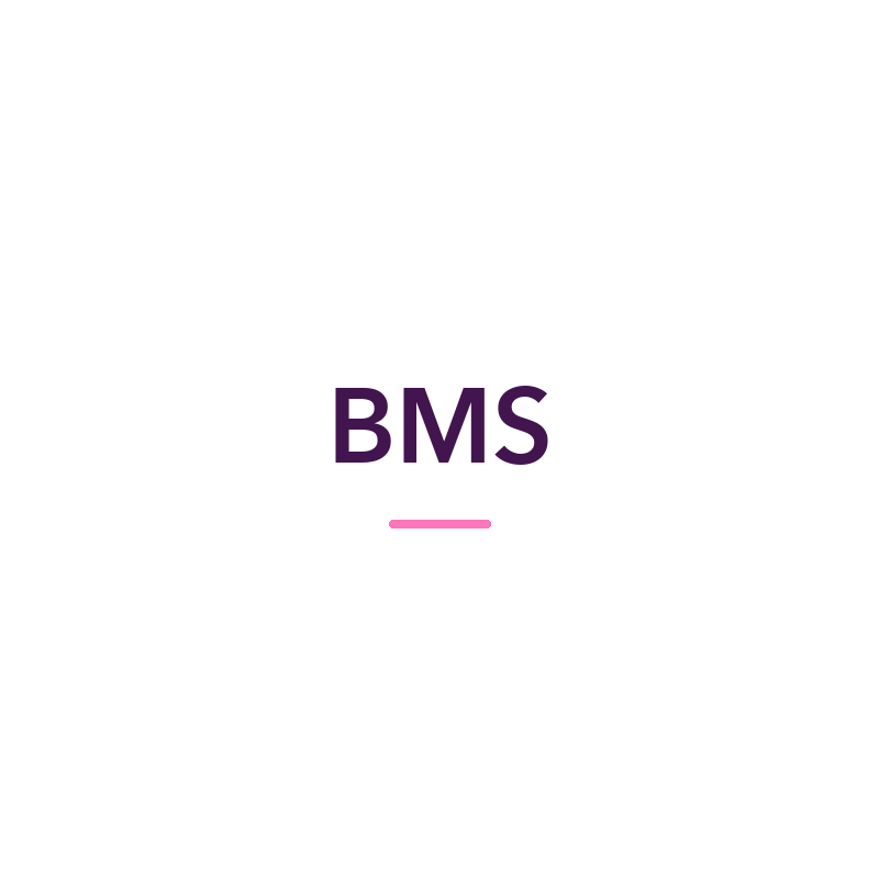 BMS sex toys and adult products, available in New Zealand at Naughty Hut