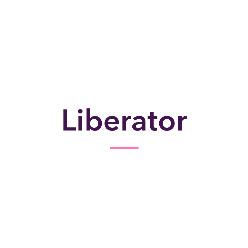 Liberator sex toys and adult products, available in New Zealand at Naughty Hut