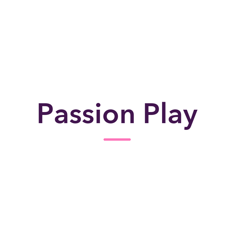 Passion Play sex toys and adult products, available in New Zealand at Naughty Hut