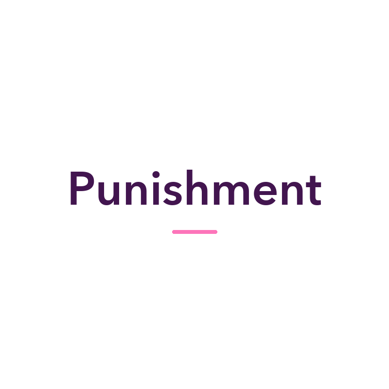 Punishment sex toys and adult products, available in New Zealand at Naughty Hut