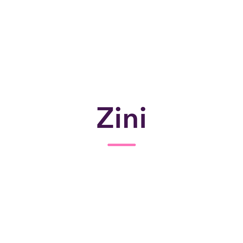 Zini sex toys and adult products, available in New Zealand at Naughty Hut