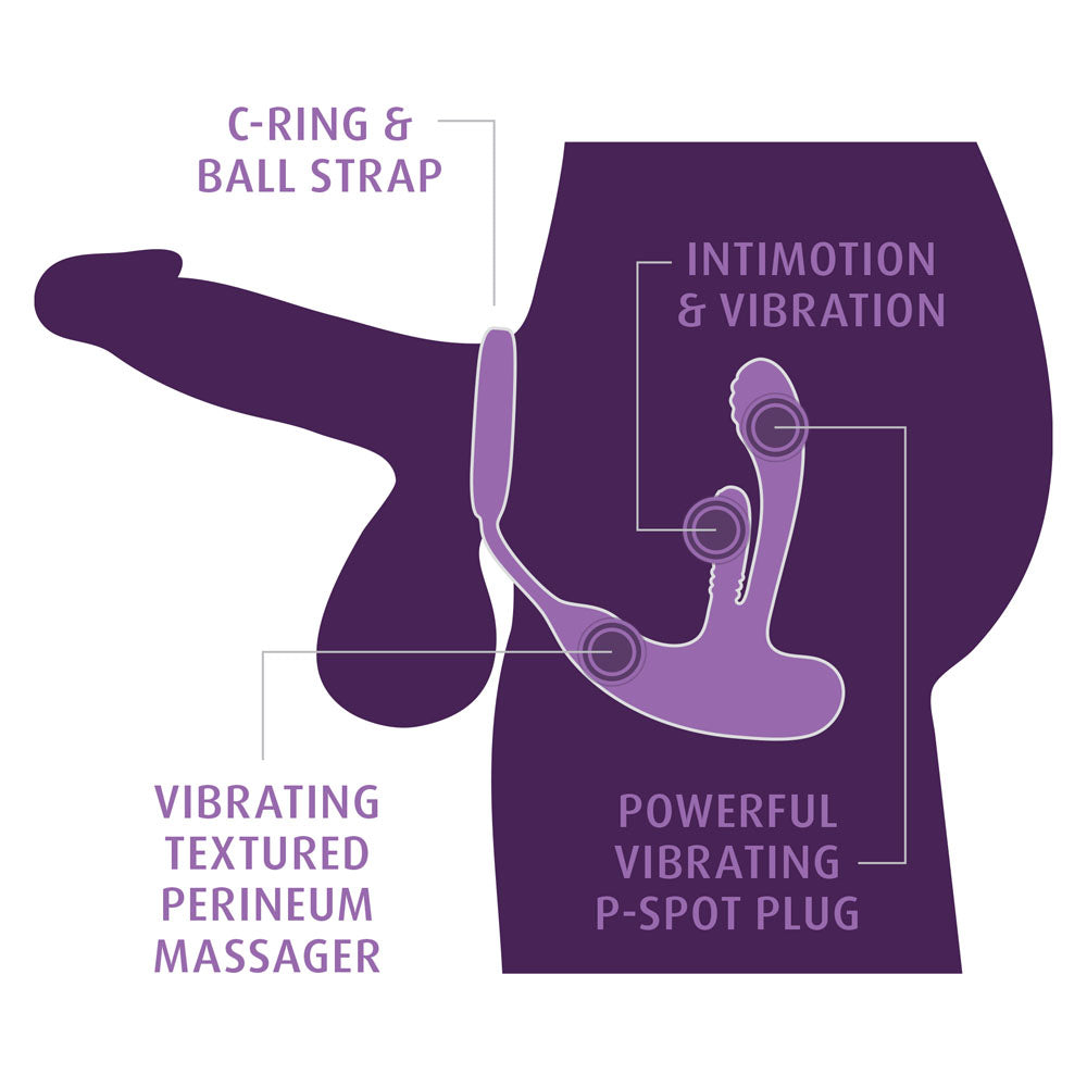 Anatomical diagram of the Ass-Gasm intiMotion worn, labelling the C-ring, plug and massager