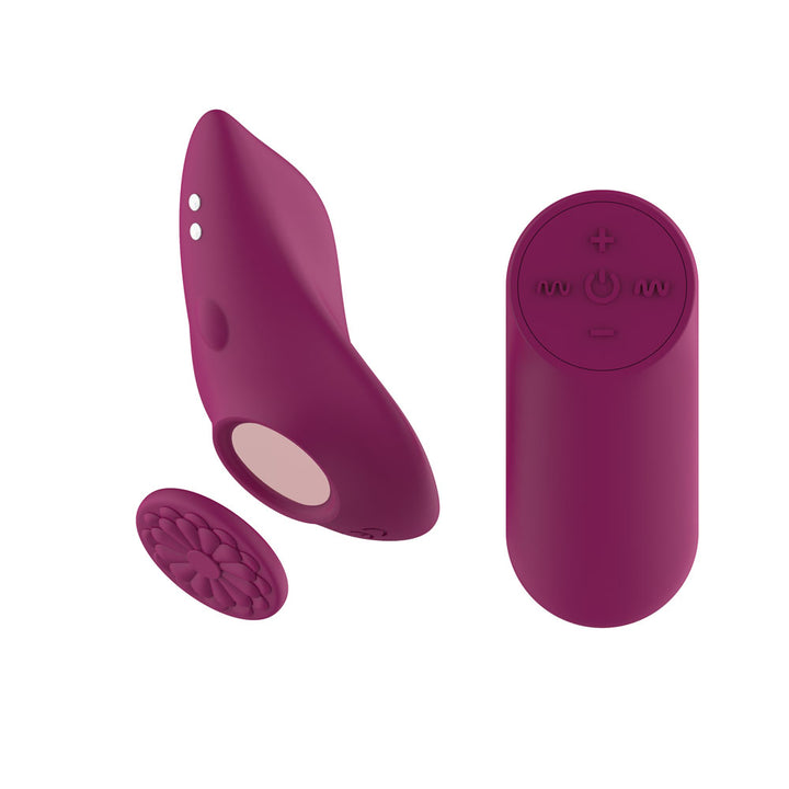 Passion Play Magnet Panty Vibe in Purple with its magnet disc and oval remote