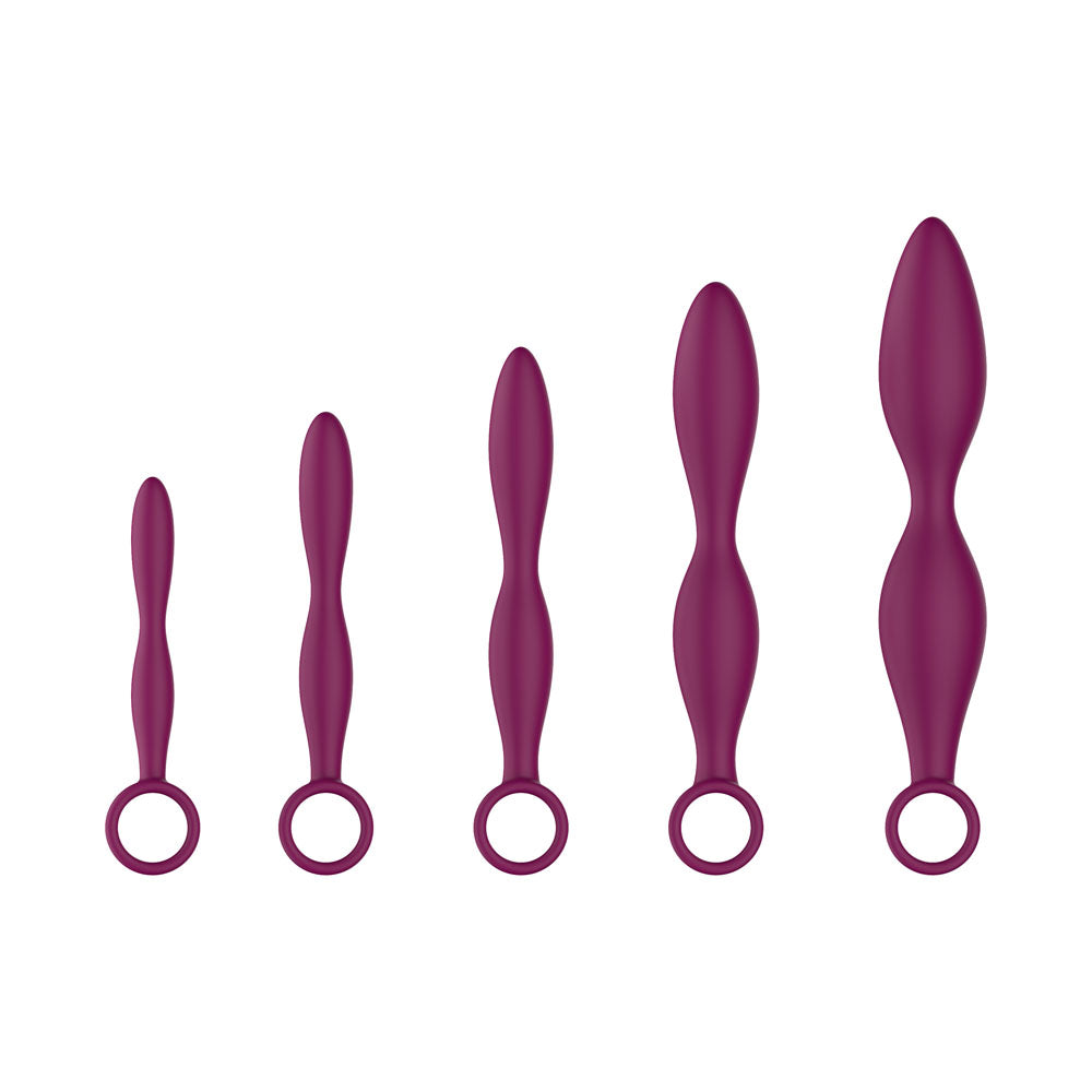 Passion Play Silicone Dilator Set in Purple, five graduated sizes upright with ring handles