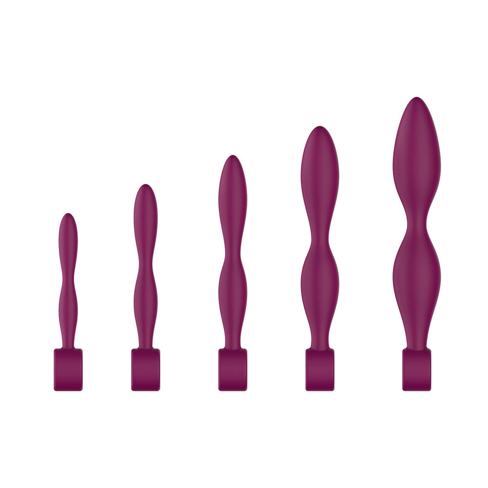 The five Purple Passion Play dilators upright with the ring handles seen edge on