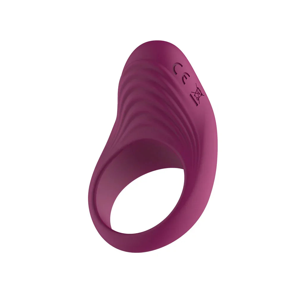 Passion Play Silicone Vibrating Cock Ring, Purple