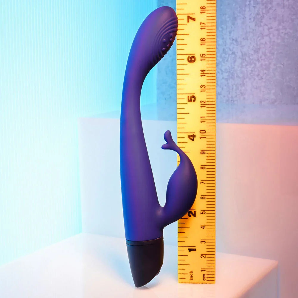 Plum Passion stood beside a ruler to show its 18.3 cm length