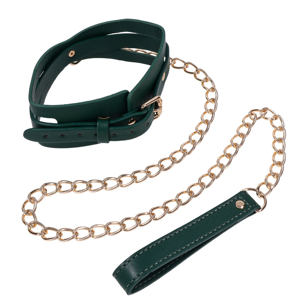 Indica collar formed into a ring with the gold leash and green handle laid out