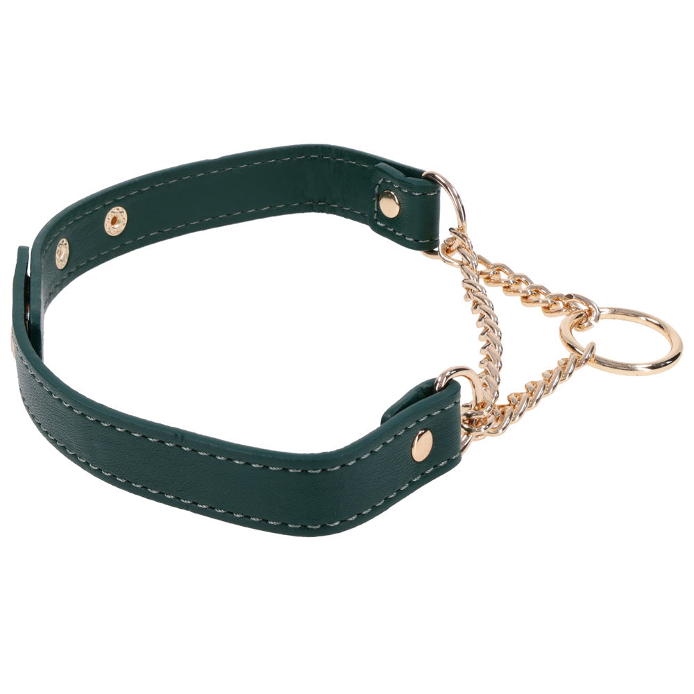 Indica Day Collar seen from the side with the chain and O-ring to one side
