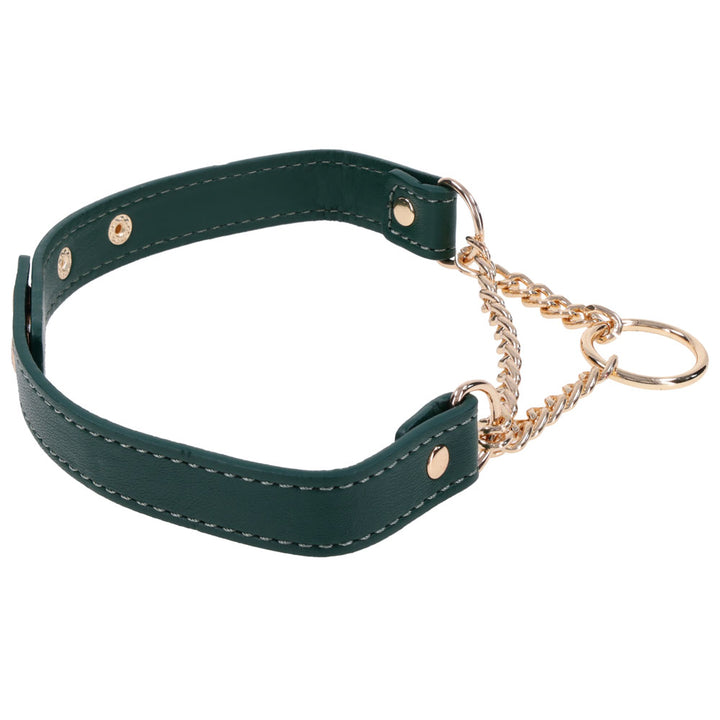 Indica Day Collar seen from the side with the chain and O-ring to one side