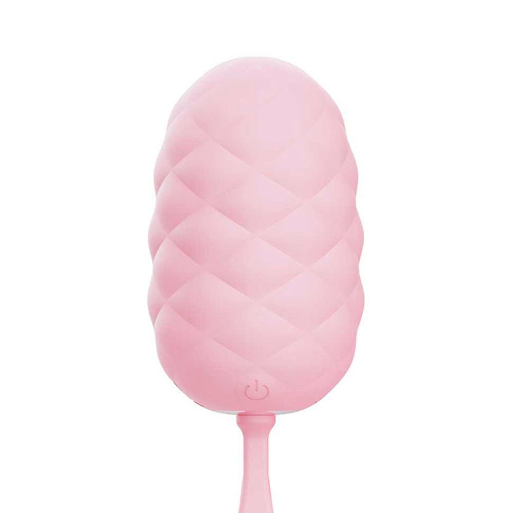 Adam & Eve PILLOW TALK EGG - Pink USB Rechargeable Vibrating Egg with Wireless Remote Control – Sex toys NZ by Naughtyhut. Discreet delivery nationwide.