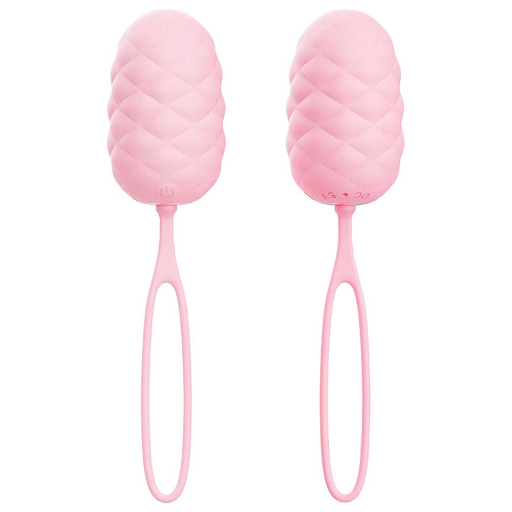 Adam & Eve PILLOW TALK EGG - Pink USB Rechargeable Vibrating Egg with Wireless Remote Control – Sex toys NZ by Naughtyhut. Discreet delivery nationwide.