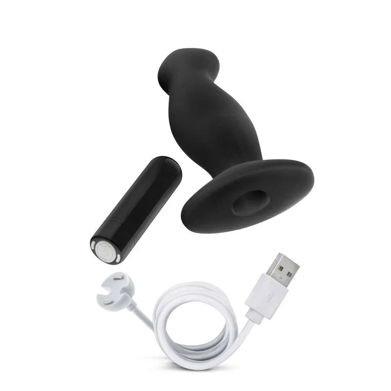 Prostate massager 02 with its removable bullet and white USB magnetic charging cable