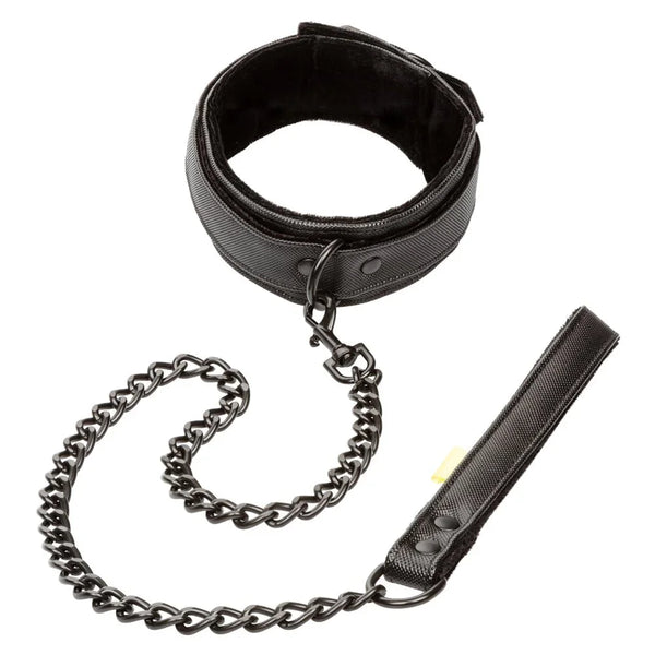 CalExotics Boundless Collar & Leash
