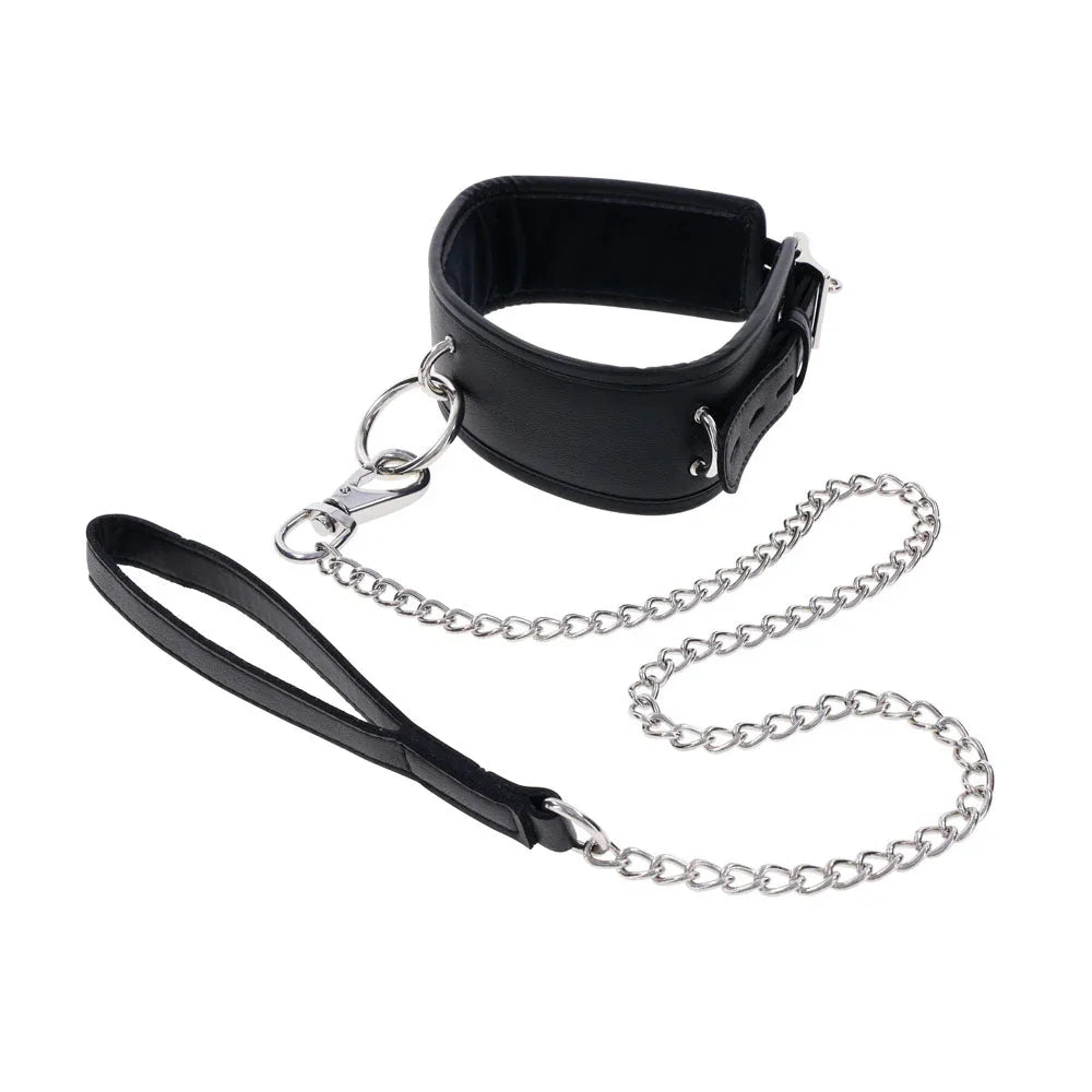 EDGE collar standing upright with the large front O-ring, leash clipped on