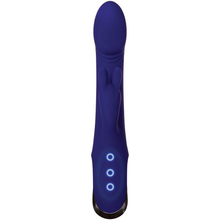 Evolved Bunny Buddy - Blue 22.2 cm USB Rechargeable Rabbit Vibrator – Sex toys NZ by Naughtyhut. Discreet delivery nationwide.