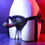 Buy Evolved HEAVENLY HARNESS - Black USB Rechargeable Strap - On Kit – Naughtyhut NZ sex toys online. Discreet delivery & top brands.