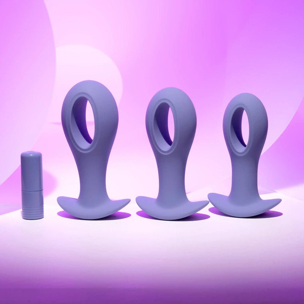 Buy Evolved HOLE PUNCH PLUG SET - Purple Butt Plugs with Interchangeable Bullet - Set of 3 Sizes – Naughtyhut NZ sex toys online. Discreet delivery & top brands.