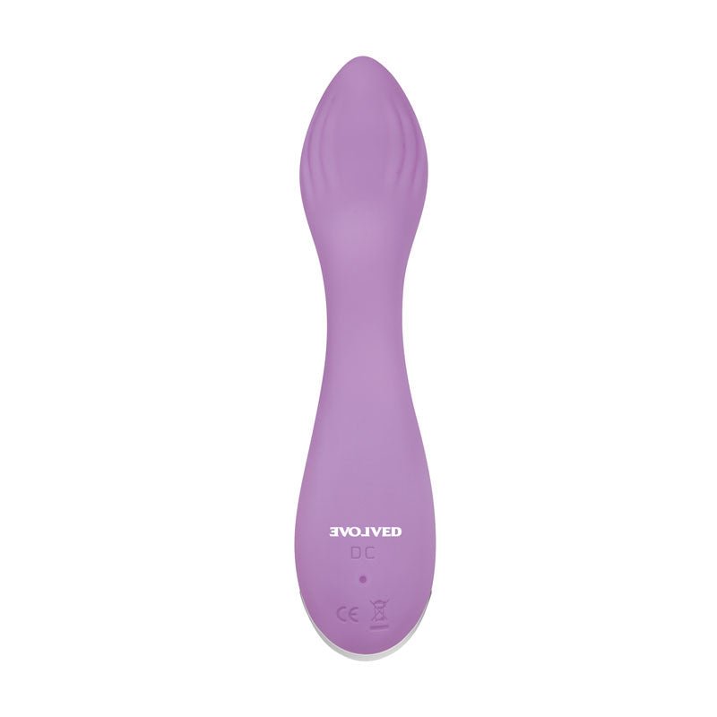 Buy Evolved LILAC G - Lilac 11.5 cm USB Rechargeable Mini Vibrator – Naughtyhut NZ sex toys online. Discreet delivery & top brands.