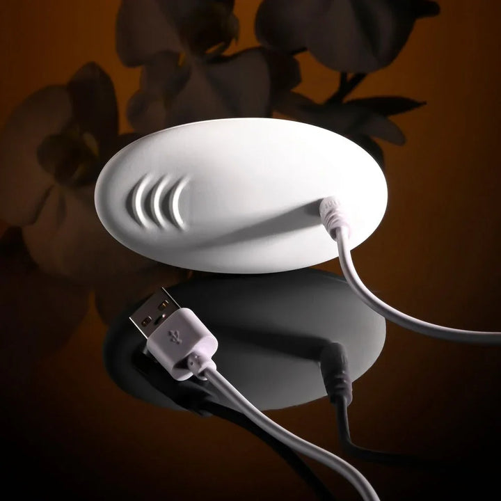 Close-up of the white wireless remote for the Evolved Lovebirds, USB cable attached