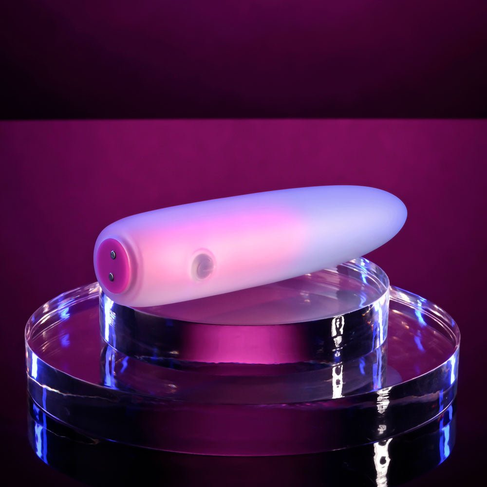 Evolved PARADISE BULLET - Pink/Purple 10.2 cm USB Rechargeable Bullet – Sex toys NZ by Naughtyhut. Discreet delivery nationwide.