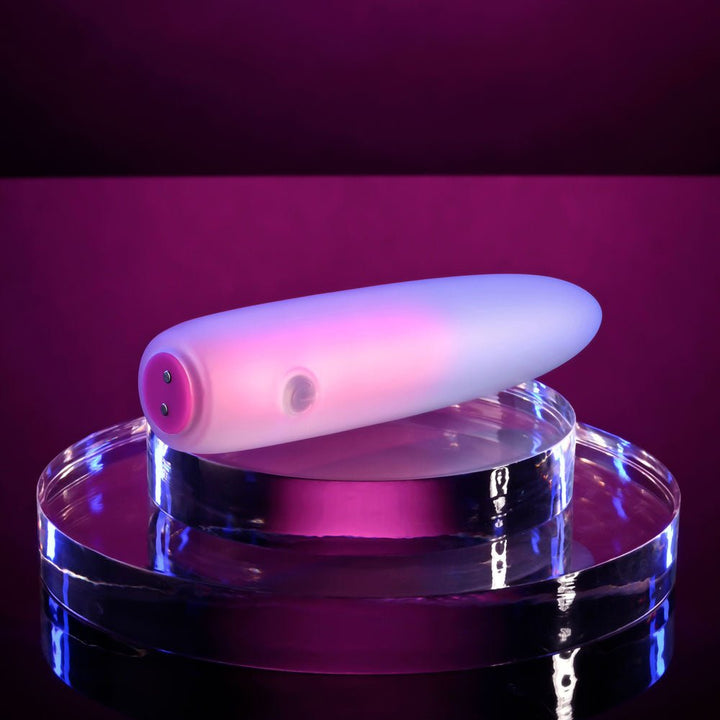 Evolved PARADISE BULLET - Pink/Purple 10.2 cm USB Rechargeable Bullet – Sex toys NZ by Naughtyhut. Discreet delivery nationwide.