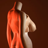 Buy Gender X UNDERGARMENTS - PLATE E - CUP - Light - Flesh Wearable Breasts - E - Cup Size – Naughtyhut NZ sex toys online. Discreet delivery & top brands.
