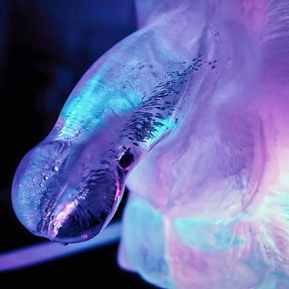 Huge Penis Ice Luge - Party Novelty – Sex toys NZ by Naughtyhut. Discreet delivery nationwide.