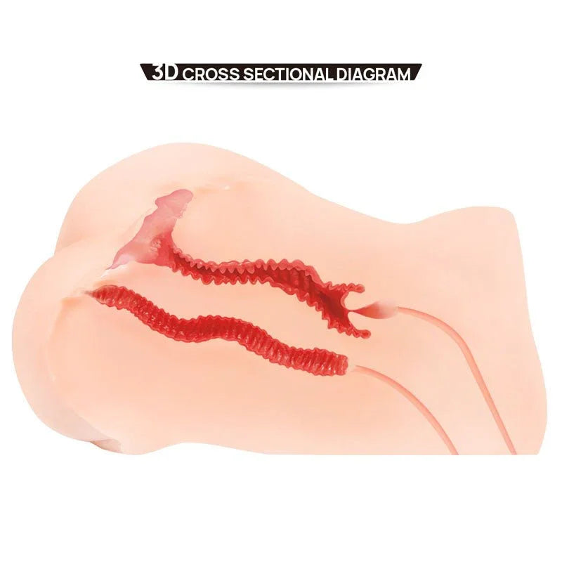 3D cross-sectional diagram of the Hanna 001 vaginal and anal canals picked out in red