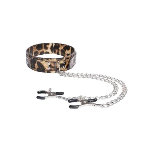 Leopard-print PU collar with chained nipple clamps on white