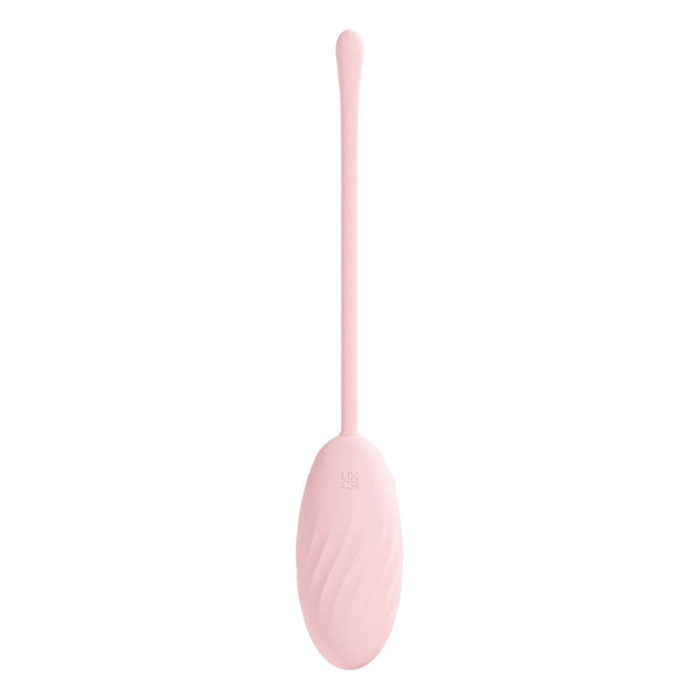 Buy LOVELINE Felicite - Pink - Pink USB Rechargeable Vibrating Egg with Wireless Remote – Naughtyhut NZ sex toys online. Discreet delivery & top brands.