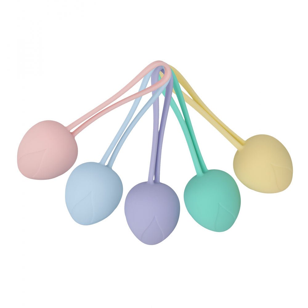 Buy LOVELINE PelviFit Berry - Coloured Kegel Kit - Set of 5 Sizes – Naughtyhut NZ sex toys online. Discreet delivery & top brands.
