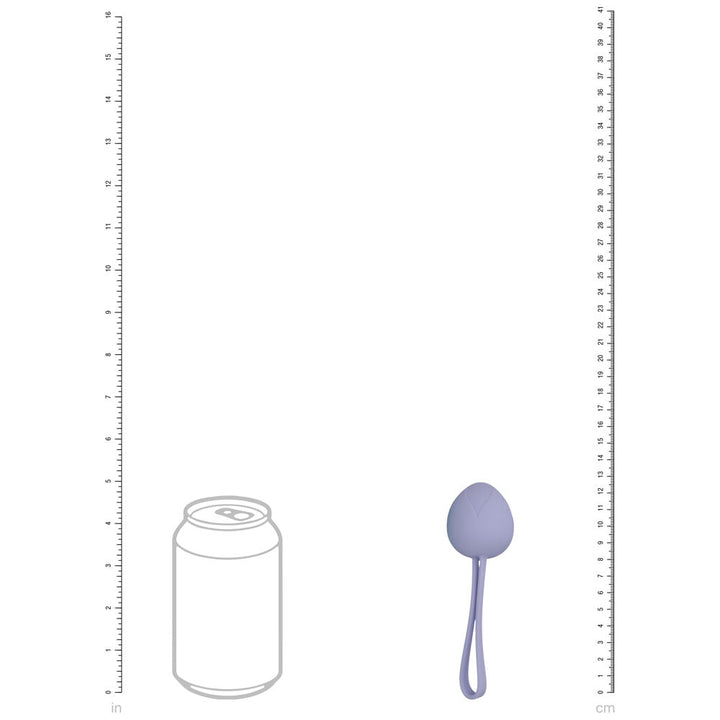 LOVELINE PelviFit Berry - Coloured Kegel Kit - Set of 5 Sizes – Sex toys NZ by Naughtyhut. Discreet delivery nationwide.