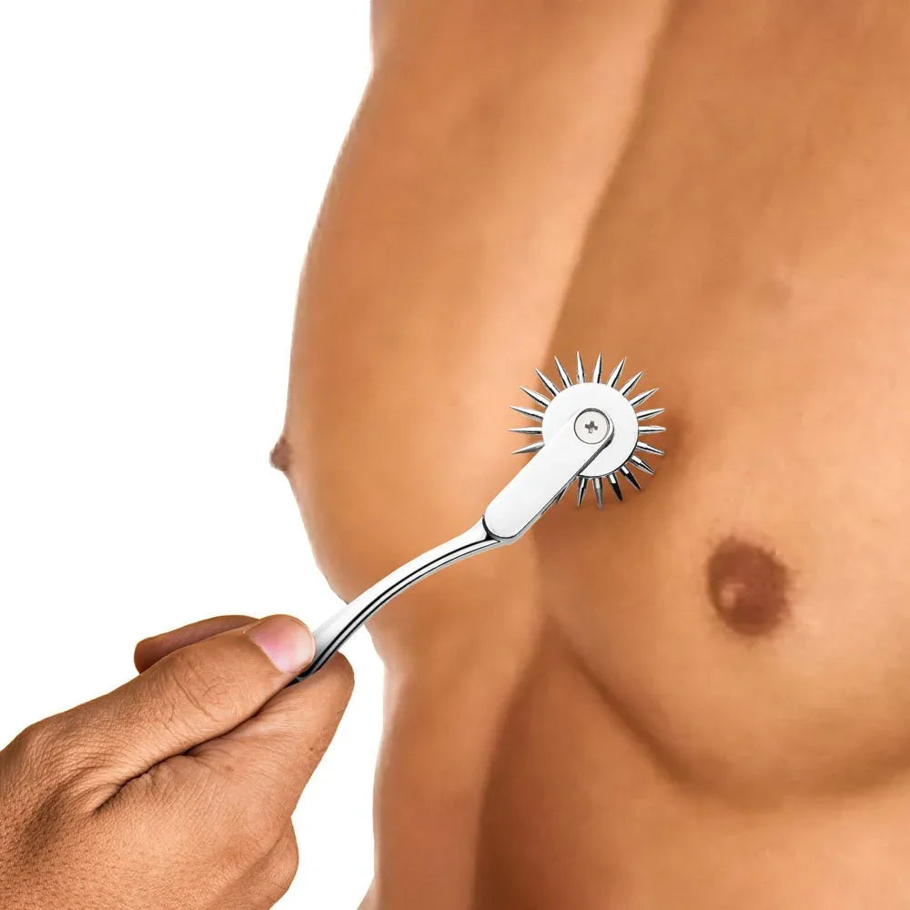 Master Series Silver Sensation - Metal Wartenberg Wheel – Sex toys NZ by Naughtyhut. Discreet delivery nationwide.