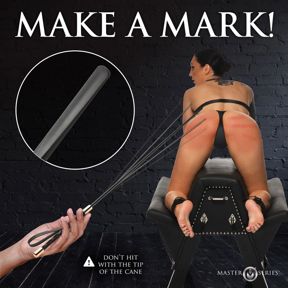 Buy Master Series Sinful Impact Cane - Black Plastic Cane Whip – Naughtyhut NZ sex toys online. Discreet delivery & top brands.