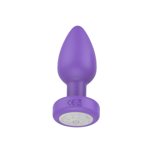 Luv Inc Vibrating Plug with Remote - image 2