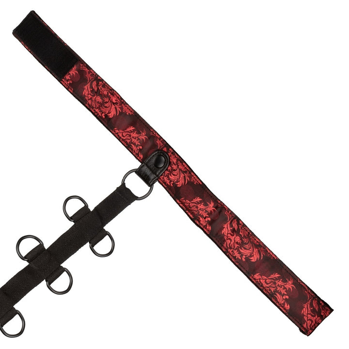 Scandal Collar Body Restraint - image 5