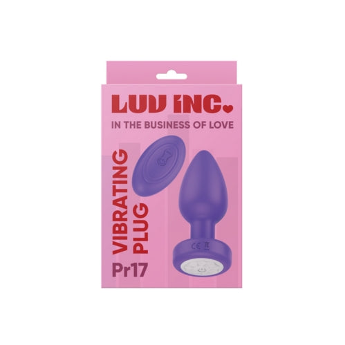 Luv Inc Vibrating Plug with Remote - image 4