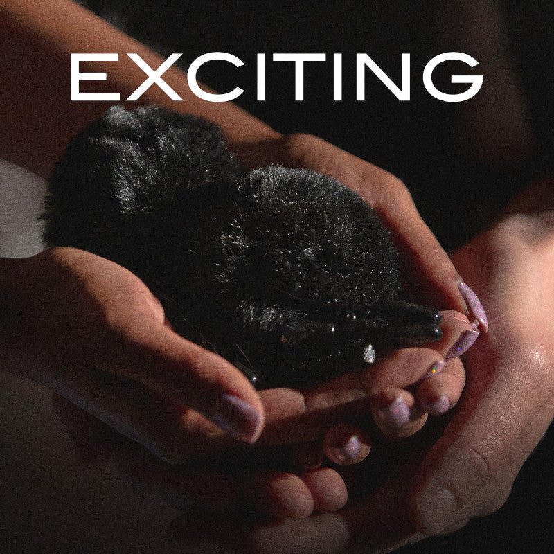 Buy Noir Pom Adjustable Nipple Clamps - Black Furry Nipple Clamps – Naughtyhut NZ sex toys online. Discreet delivery & top brands.