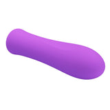 Buy Party Up GARY Bullet - Purple - Purple 10.2 cm USB Rechargeable Bullet – Naughtyhut NZ sex toys online. Discreet delivery & top brands.