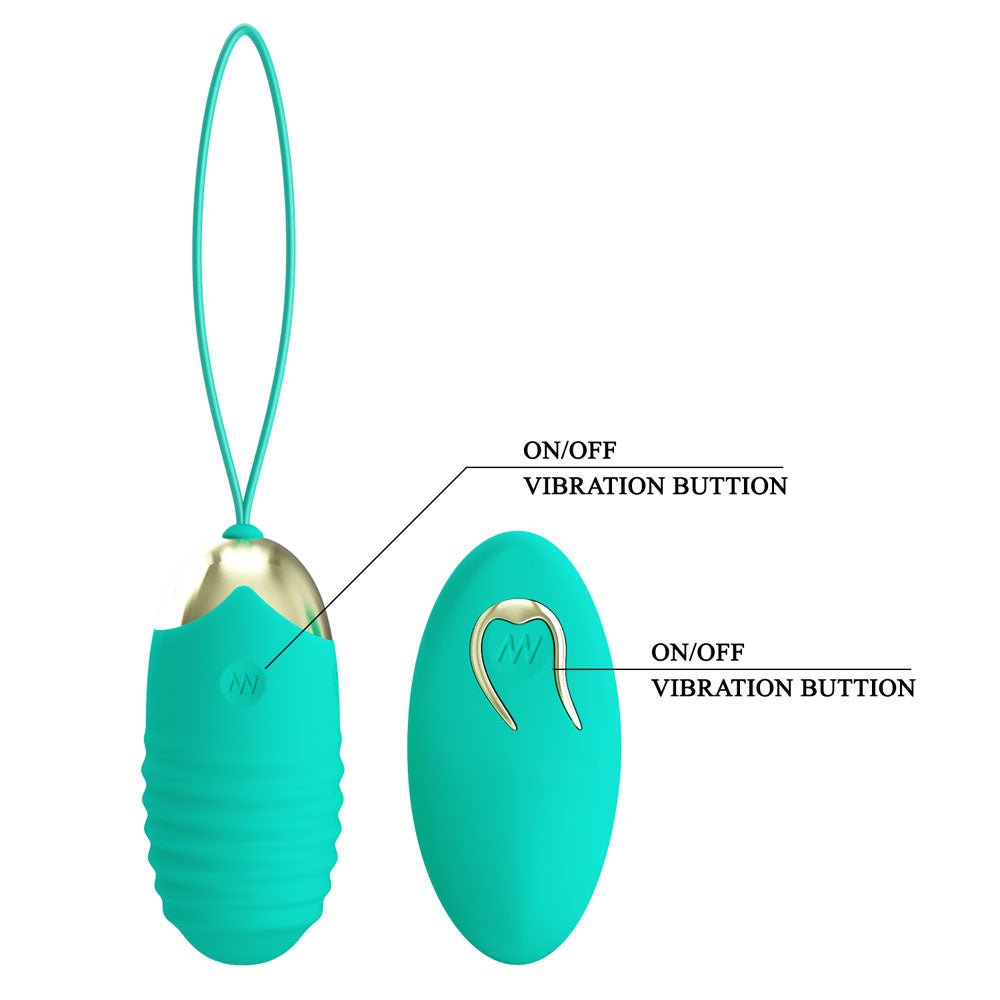 Party Up IAN Remote Egg - Teal - Teal USB Rechargeable Vibrating Egg with Wireless Remote – Sex toys NZ by Naughtyhut. Discreet delivery nationwide.