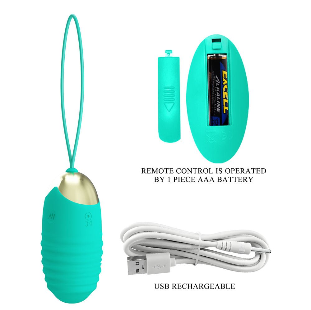Buy Party Up IAN Remote Egg - Teal - Teal USB Rechargeable Vibrating Egg with Wireless Remote – Naughtyhut NZ sex toys online. Discreet delivery & top brands.