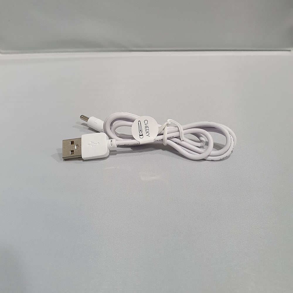 Buy Pillow Talk Replacement Charger – Naughtyhut NZ sex toys online. Discreet delivery & top brands.
