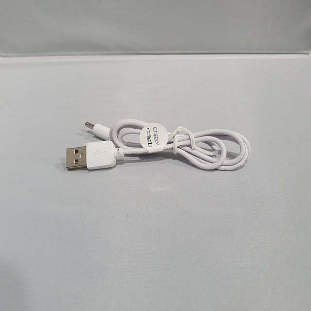 Buy Pillow Talk Replacement Charger – Naughtyhut NZ sex toys online. Discreet delivery & top brands.