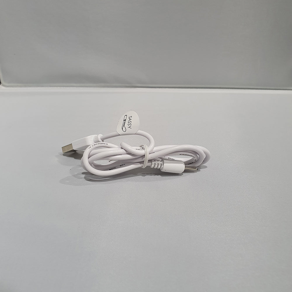 Buy Pillow Talk Replacement Charger – Naughtyhut NZ sex toys online. Discreet delivery & top brands.