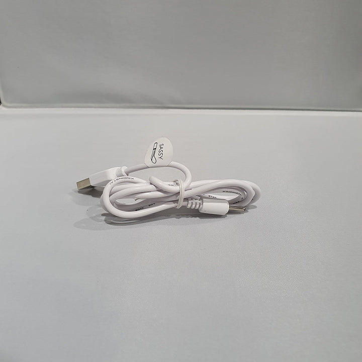 Pillow Talk Replacement Charger – Sex toys NZ by Naughtyhut. Discreet delivery nationwide.