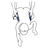 Buy Pivot Deluxe Doggie Strap - Black Position Harness Strap – Naughtyhut NZ sex toys online. Discreet delivery & top brands.