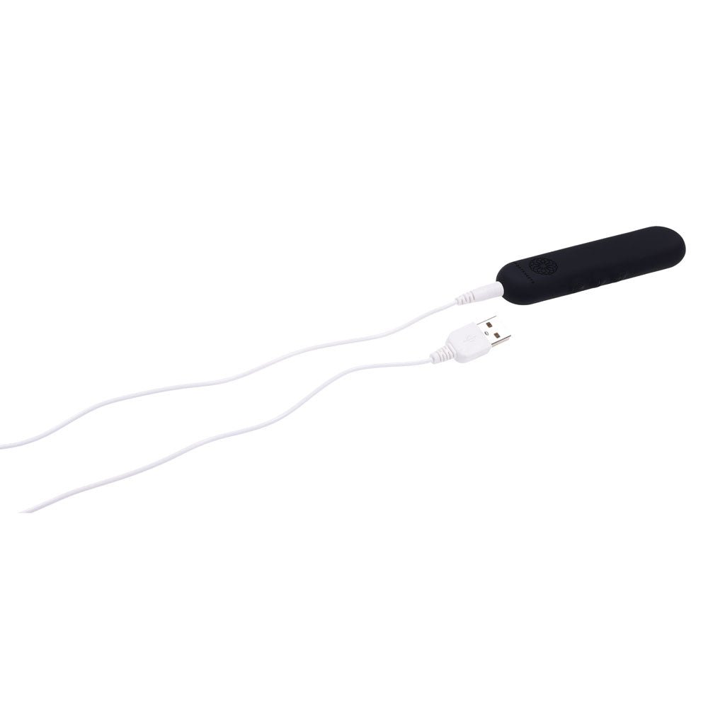 Buy Pivot Flat Bullet - Black - Black 10.2 cm USB Rechargeable Bullet – Naughtyhut NZ sex toys online. Discreet delivery & top brands.