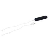 Buy Pivot Flat Bullet - Black - Black 10.2 cm USB Rechargeable Bullet – Naughtyhut NZ sex toys online. Discreet delivery & top brands.